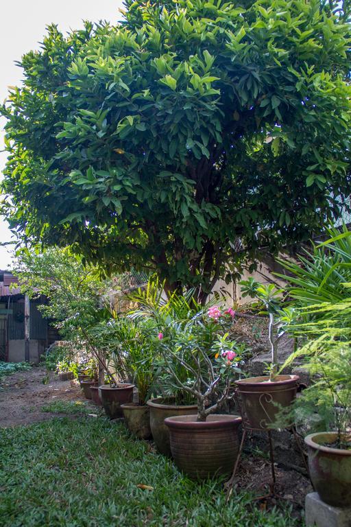 Cozy Mount Erskine Homestay Джордж Таун Екстериор снимка